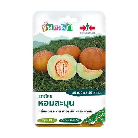 เมล็ดพันธุ์ แตงไทย หอมละมุน ศรแดง 80 เมล็ด_0