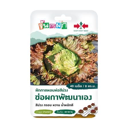 เมล็ดพันธุ์ ผักกาดหอมห่อสีม่วง ช่อผกาพัฒนาเอง ศรแดง 40 เมล็ด_0