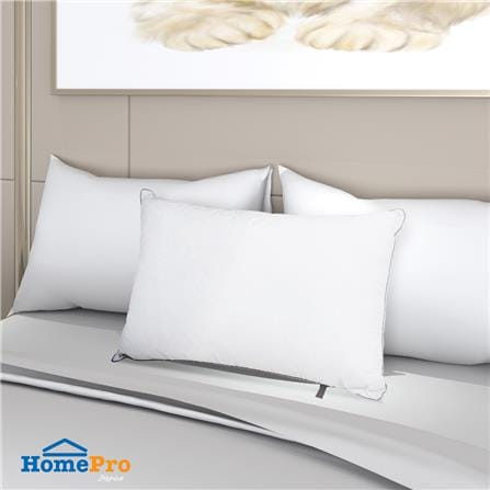 หมอนน้ำ HOME LIVING STYLE VARI 19x29 นิ้ว สีขาว_11