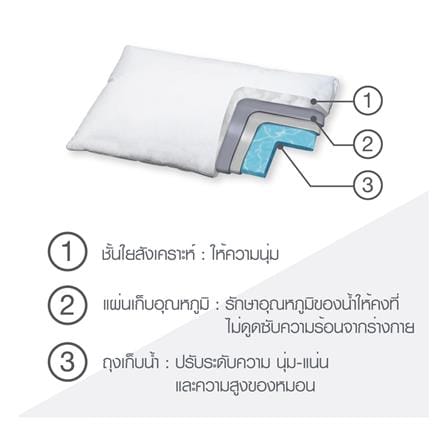 หมอนน้ำ HOME LIVING STYLE VARI 19x29 นิ้ว สีขาว_10