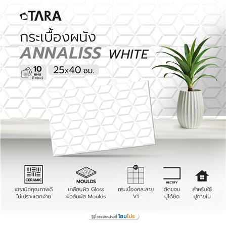 กระเบื้องผนัง 25x40 ซม. TARA แอนนาลิส ไวท์_5