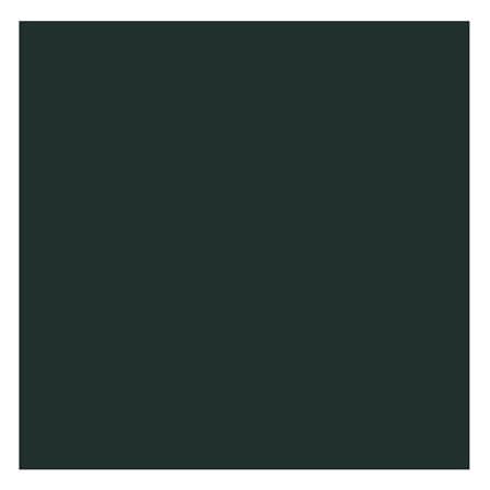 ผ้านวม PREMIER SATIN ROYAL TOUCH SOLID 60X80 นิ้ว SPC065_1