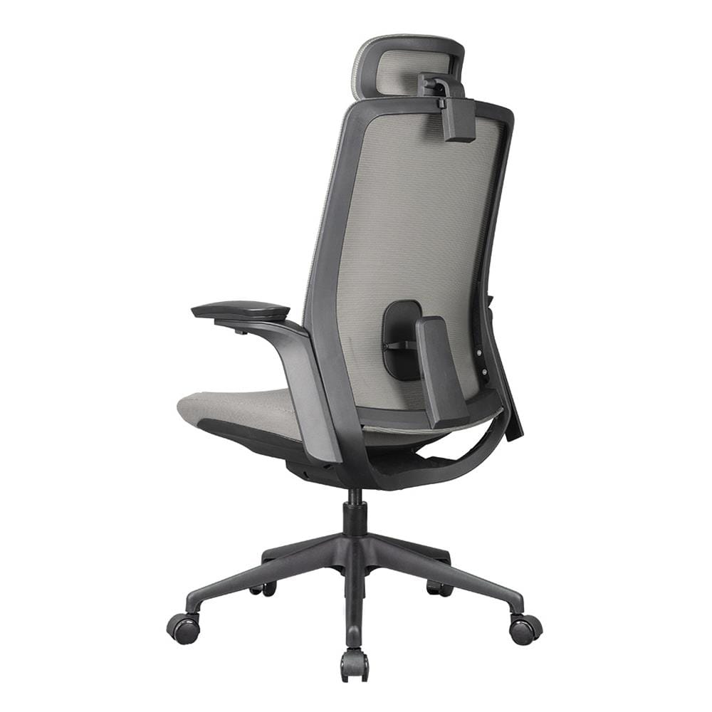 D.I.Y. เก้าอี้สุขภาพ WORKSCAPE MENSA WCH-00004 สีเทาเข้ม