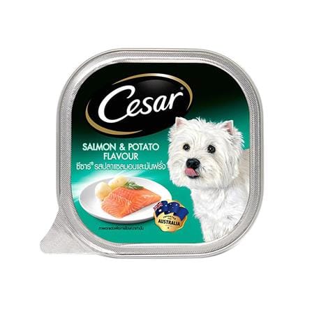 อาหารเปียกสุนัข CESAR SALMON WITH POTATO 100 ก._0
