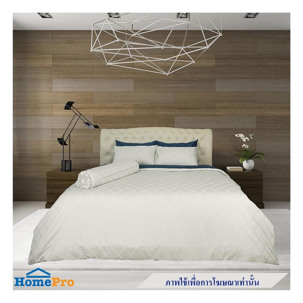 ปลอกหมอนข้าง SYNDA PATIOLA สี CREAM