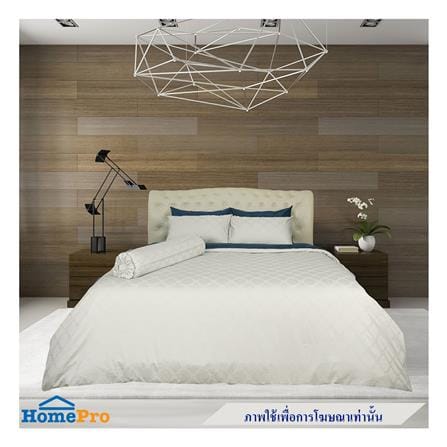 ปลอกหมอนข้าง SYNDA PATIOLA สี CREAM_4