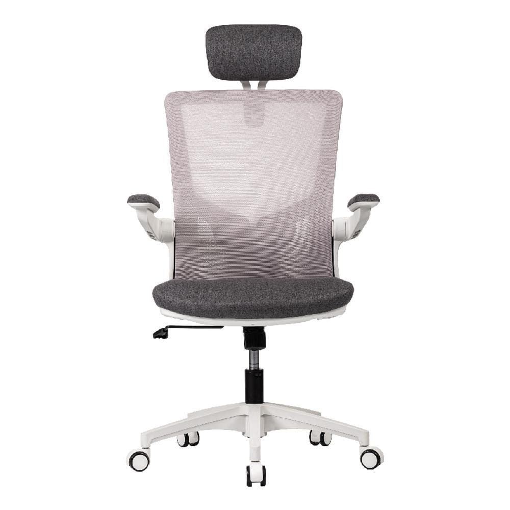 เก้าอี้สุขภาพ WORKSCAPE Luna Rain WCH-00005 สีเทา
