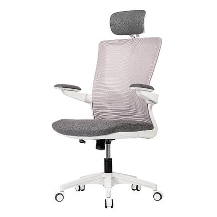 เก้าอี้สุขภาพ WORKSCAPE Luna Rain WCH-00005 สีเทา_0