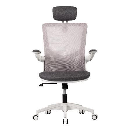 เก้าอี้สุขภาพ WORKSCAPE Luna Rain WCH-00005 สีเทา_1
