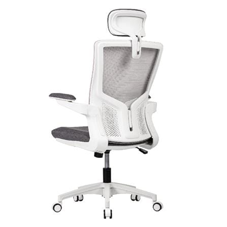 เก้าอี้สุขภาพ WORKSCAPE Luna Rain WCH-00005 สีเทา_4