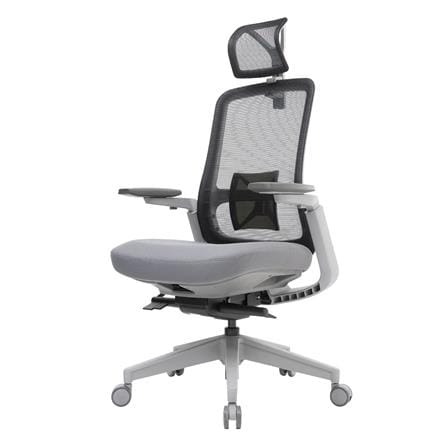 D.I.Y. เก้าอี้สุขภาพ WORKSCAPE LIBRA WCH-00001 สีเ...