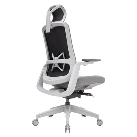 D.I.Y.เก้าอี้สุขภาพ WORKSCAPE LIBRA WCH-00002 สีเทา_4