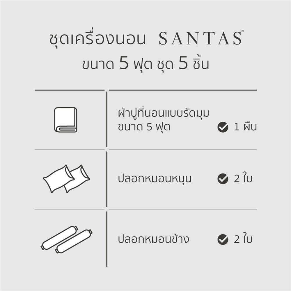 ชุดผ้าปูที่นอน 5 ฟุต 5 ชิ้น SANTAS BUBBLY CR