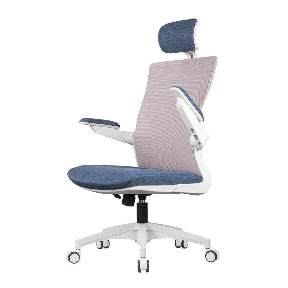 D.I.Y. เก้าอี้สุขภาพ WORKSCAPE LUNA SEA WCH-00005 สีขาว-น้ำเงิน