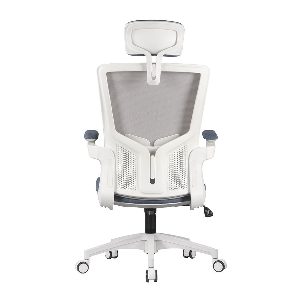 D.I.Y. เก้าอี้สุขภาพ WORKSCAPE LUNA SEA WCH-00005 สีขาว-น้ำเงิน