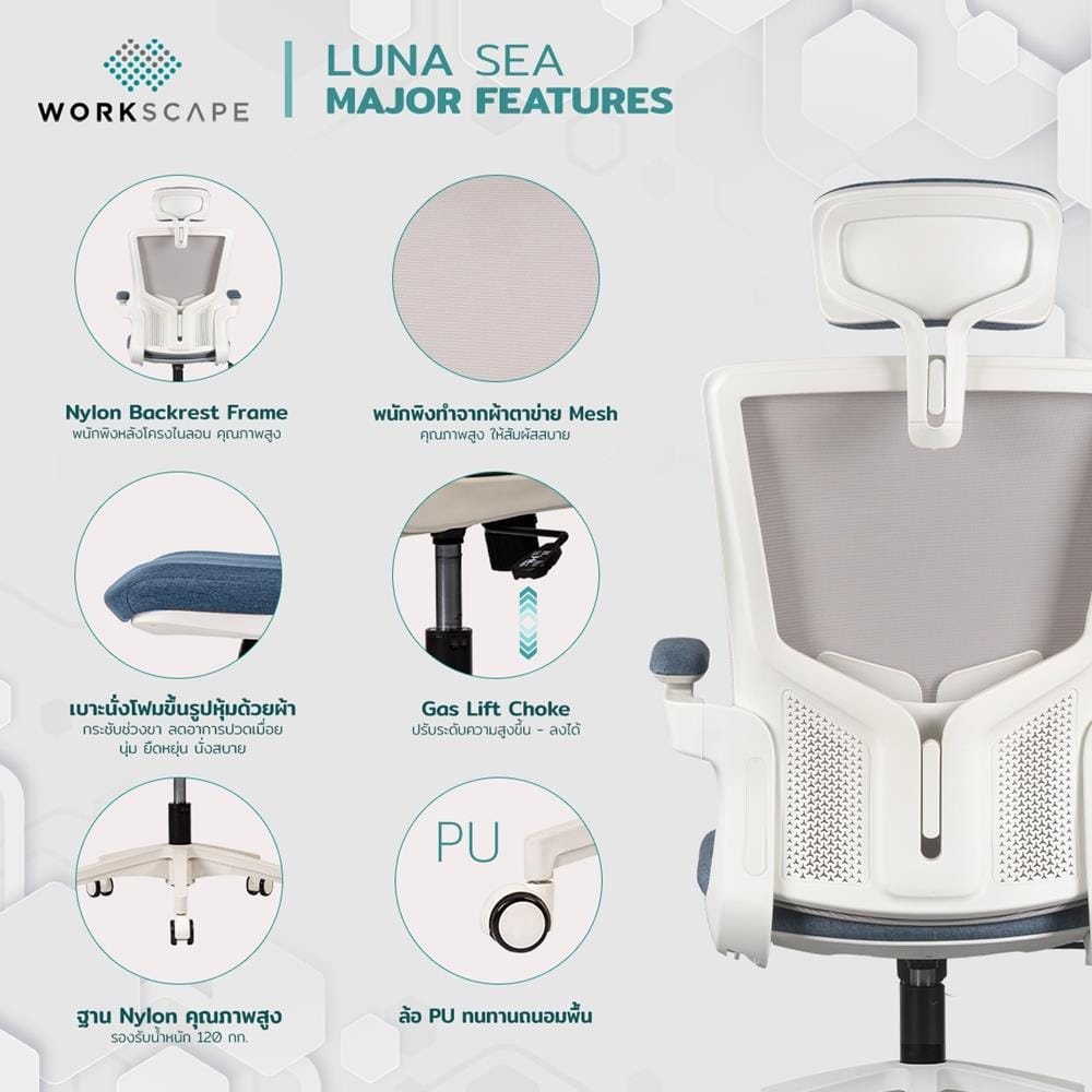 D.I.Y. เก้าอี้สุขภาพ WORKSCAPE LUNA SEA WCH-00005 สีขาว-น้ำเงิน