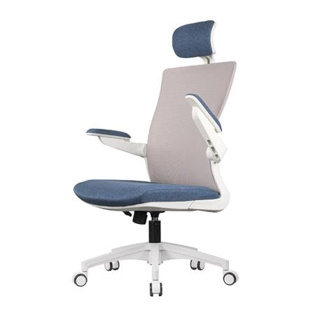 D.I.Y. เก้าอี้สุขภาพ WORKSCAPE LUNA SEA WCH-00005 สีขาว-น้ำเงิน_0