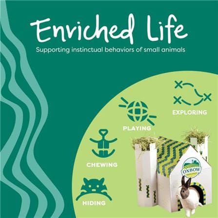 ของเล่นสัตว์ฟันแทะ OXBOW ENRICHED LIFE PLAY CENTER ไซซ์ S_5