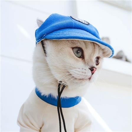 หมวกสัตว์เลี้ยง CLAWSET COOL KID ไซซ์ XL สีม่วง_2