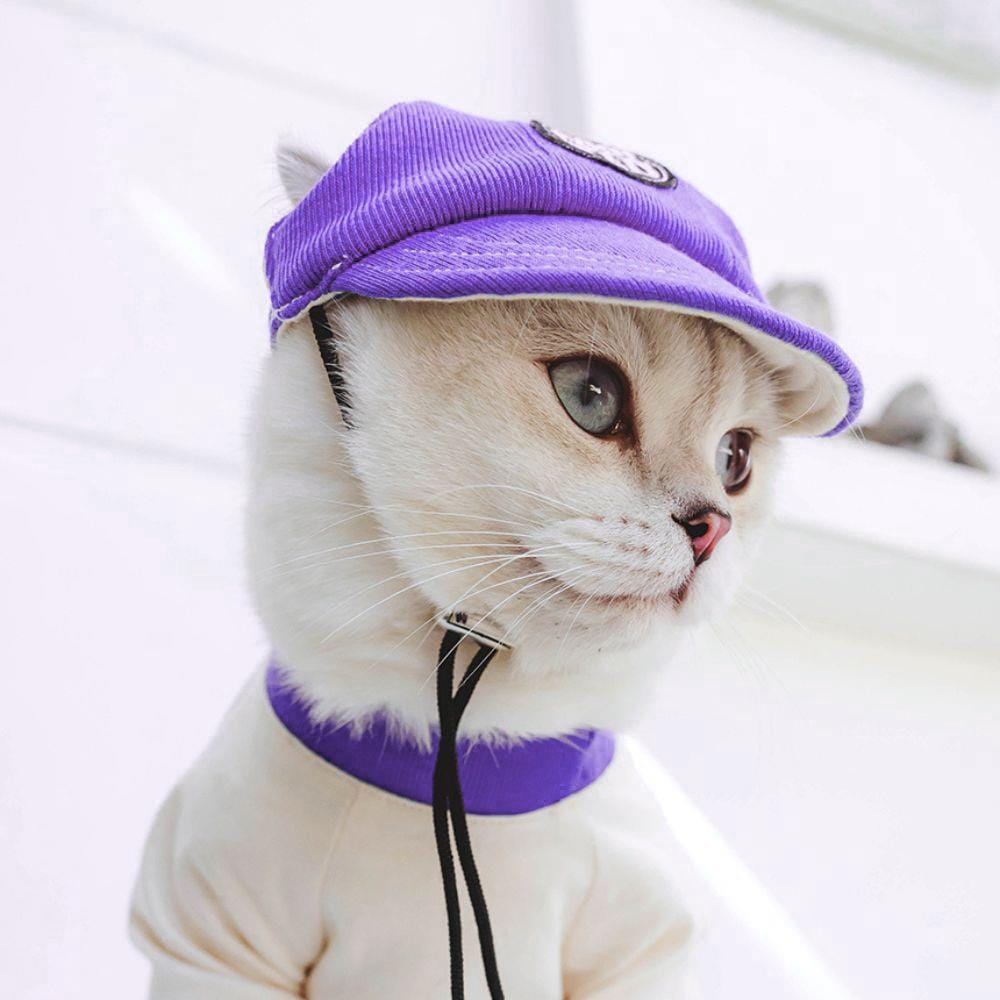 หมวกสัตว์เลี้ยง CLAWSET COOL KID ไซซ์ M สีม่วง