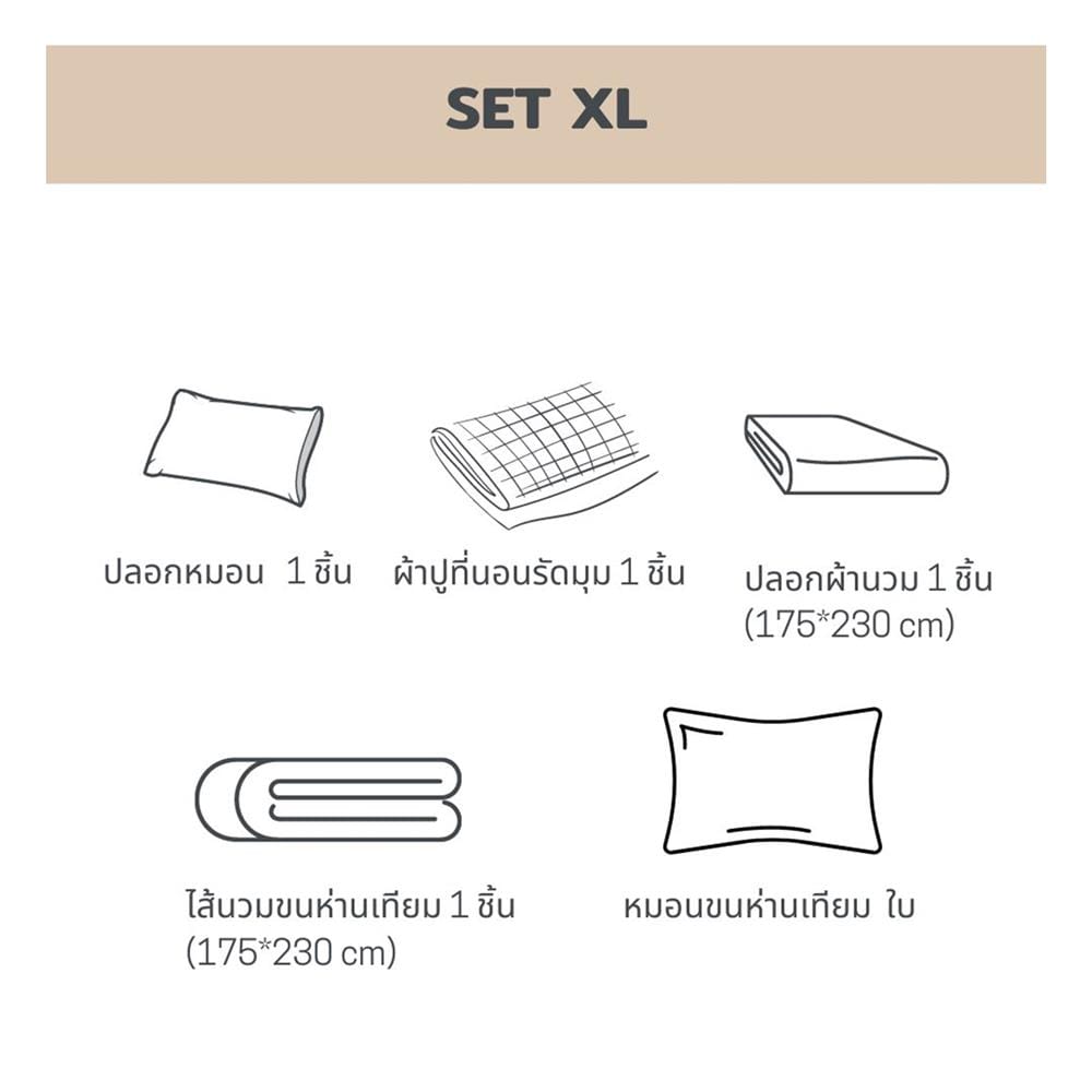 ชุดผ้าปูที่นอน 3.5 ฟุต 5 ชิ้น BENEATH PEPPERMINT สีเขียว