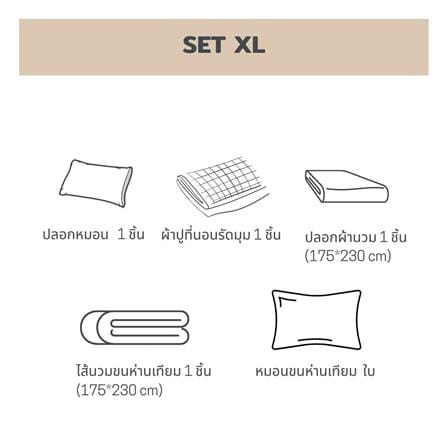 ชุดผ้าปูที่นอน 3.5 ฟุต 5 ชิ้น BENEATH PEPPERMINT สีเขียว_8