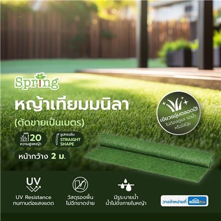 หญ้าเทียมมนิลา ความสูงหญ้า 20 มม. หน้ากว้าง 2 ม. SPRING (ตัดขายเป็นเมตร)_3
