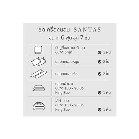 ชุดผ้าปูที่นอน 6 ฟุต 7 ชิ้น SANTAS PASTEL BI_6