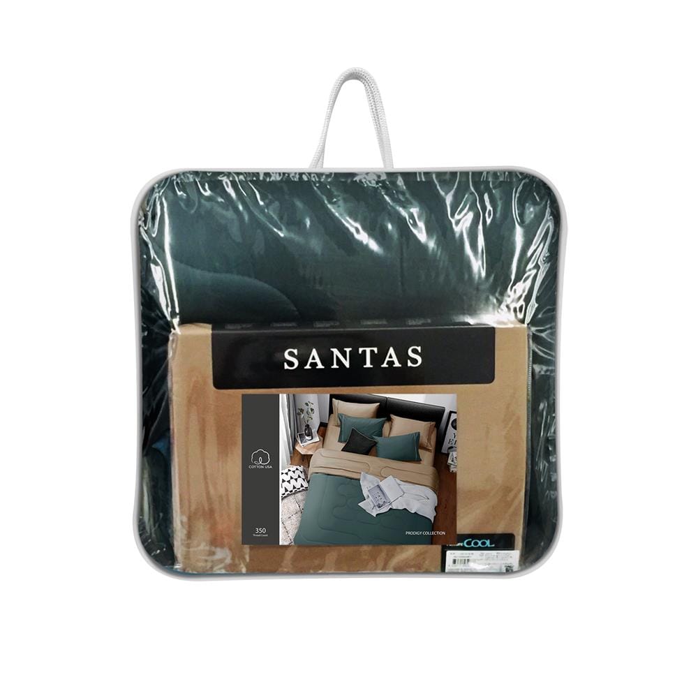 ชุดผ้าปูที่นอน 6 ฟุต 6 ชิ้น SANTAS PRODIGY GN