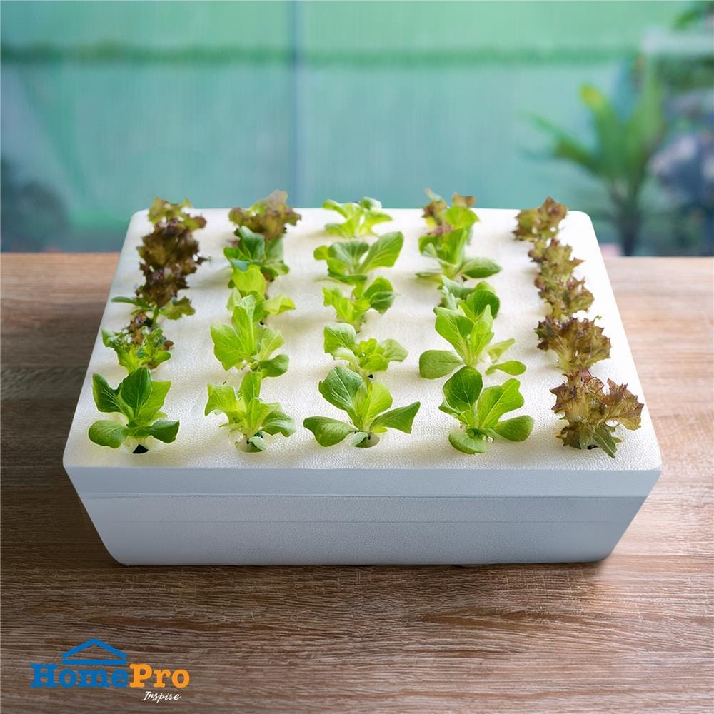 กล่องโฟมเพาะปลูกครบชุด SPRING 25 หลุม สีขาว