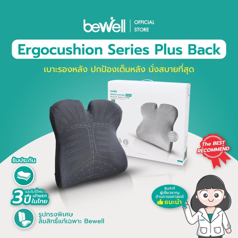 เบาะรองหลัง BEWELL EC-03 สีเทา