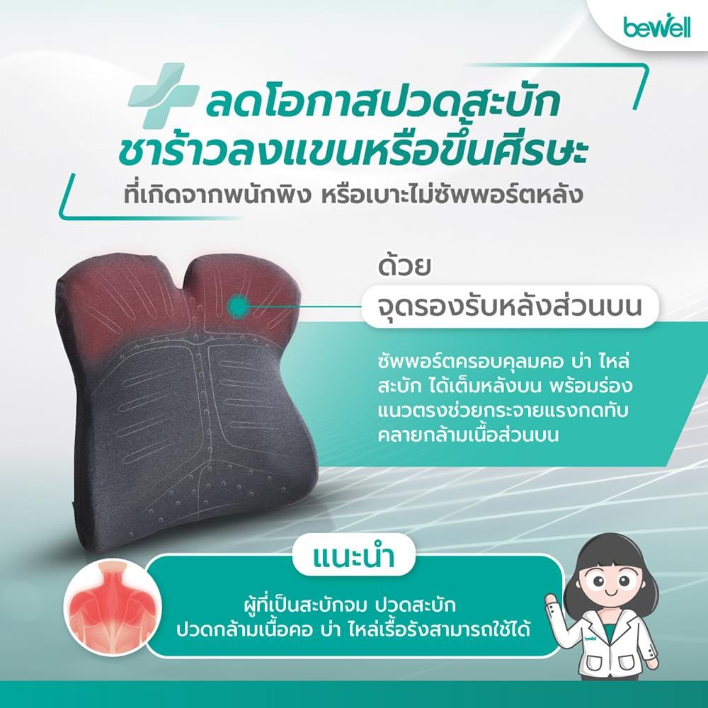 เบาะรองหลัง BEWELL EC-03 สีเทา