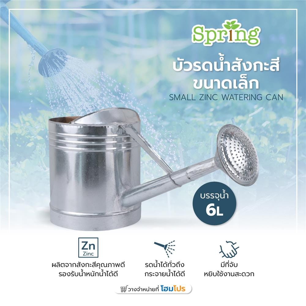 บัวรดน้ำสังกะสี SPRING ขนาดเล็ก