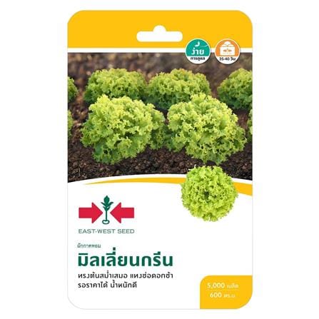 เมล็ดพันธุ์ผักสลัด มิลเลี่ยนกรีน ศรแดง_0