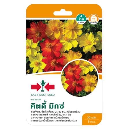 เมล็ดพันธุ์ดาวกระจาย คิตดี้ มิกซ์ ศรแดง_0