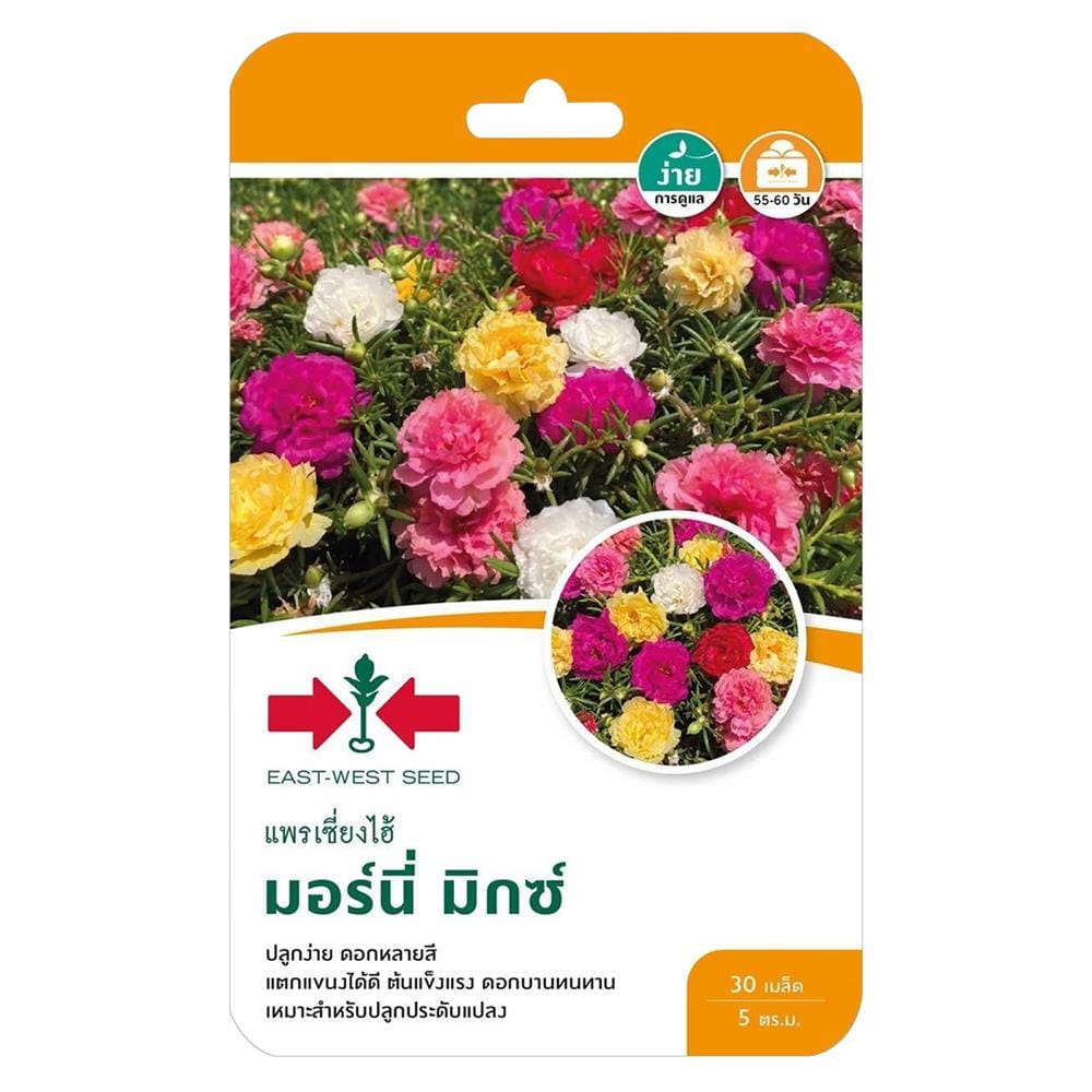 เมล็ดพันธุ์แพรเซี่ยงไฮ้ มอร์นี่ มิกซ์ ศรแดง