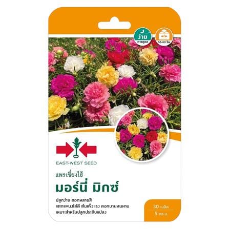 เมล็ดพันธุ์แพรเซี่ยงไฮ้ มอร์นี่ มิกซ์ ศรแดง_0