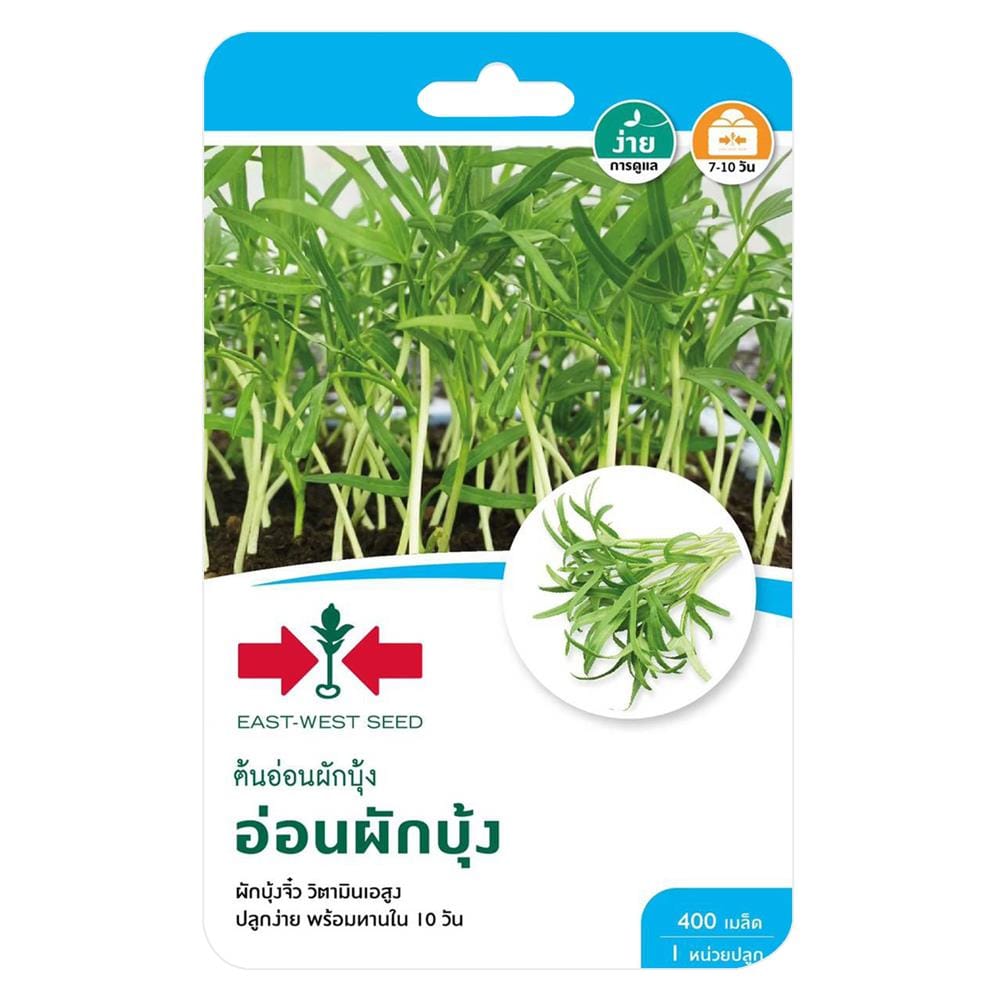 เมล็ดพันธุ์ต้นอ่อนผักบุ้ง ศรแดง