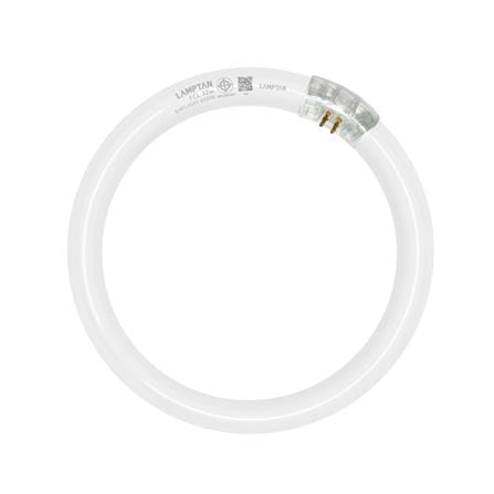 หลอดนีออนกลม LAMPTAN 32 วัตต์ DAYLIGHT G10Q_0