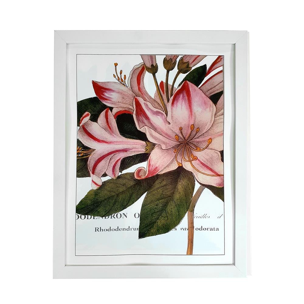 กรอบรูป PTS FLOWER 2 14X18 นิ้ว สีขาว