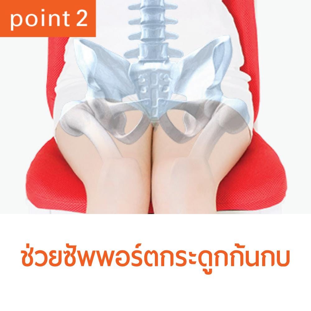 เบาะรองนั่ง MATSUNAGA PINTO SD YG_2