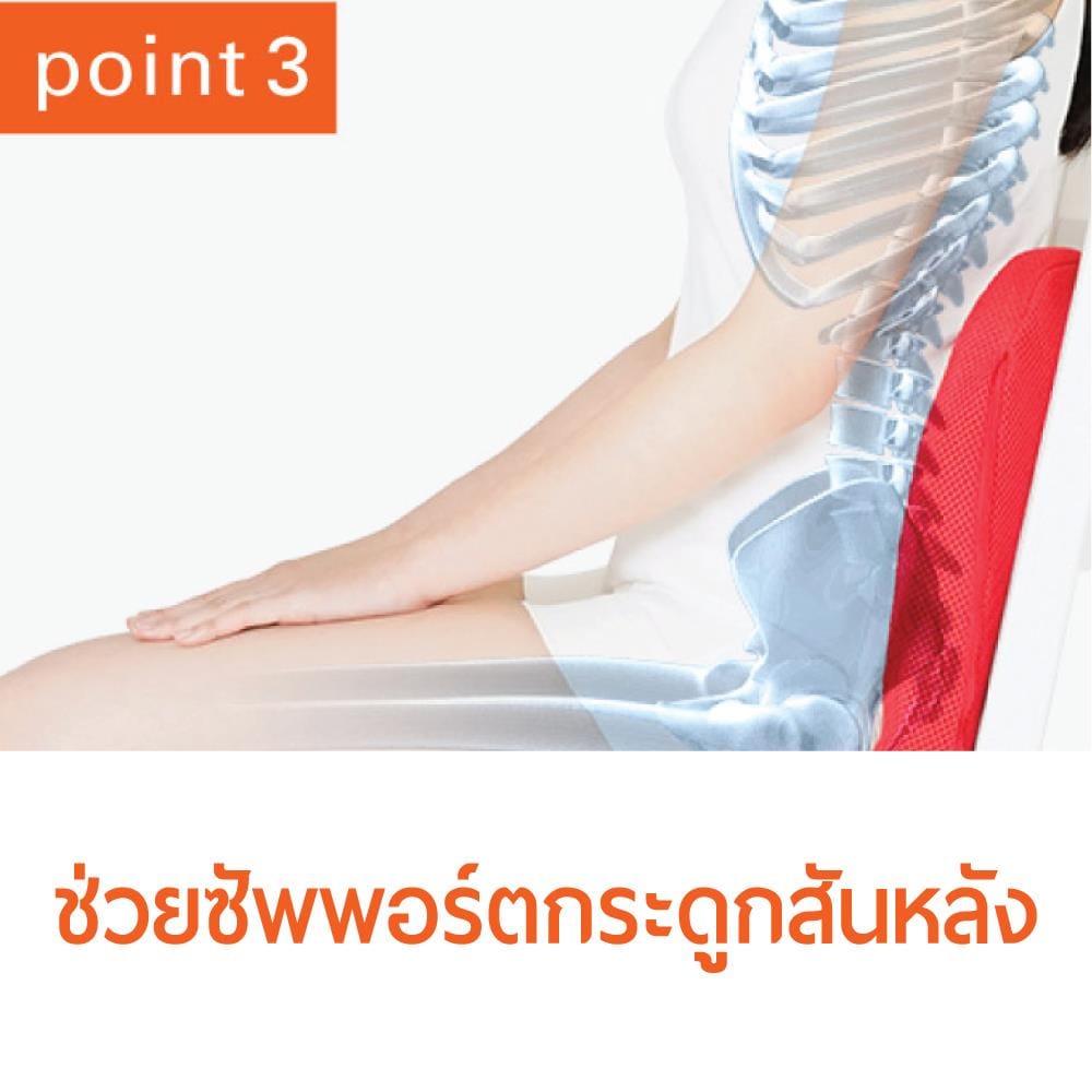 เบาะรองนั่ง MATSUNAGA PINTO SD NY_3
