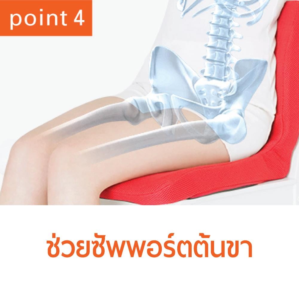 เบาะรองนั่ง MATSUNAGA PINTO SD BR_4