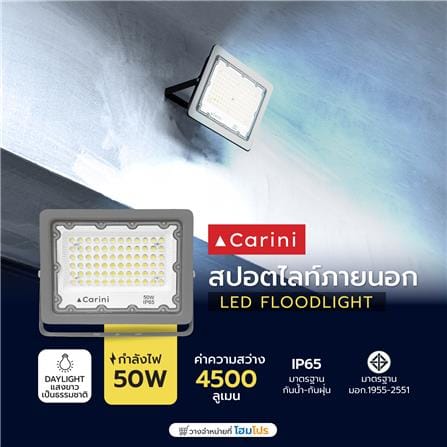 สปอตไลท์ภายนอก LED CARINI NYSP50W 50 วัตต์ DAYLIGHT_4