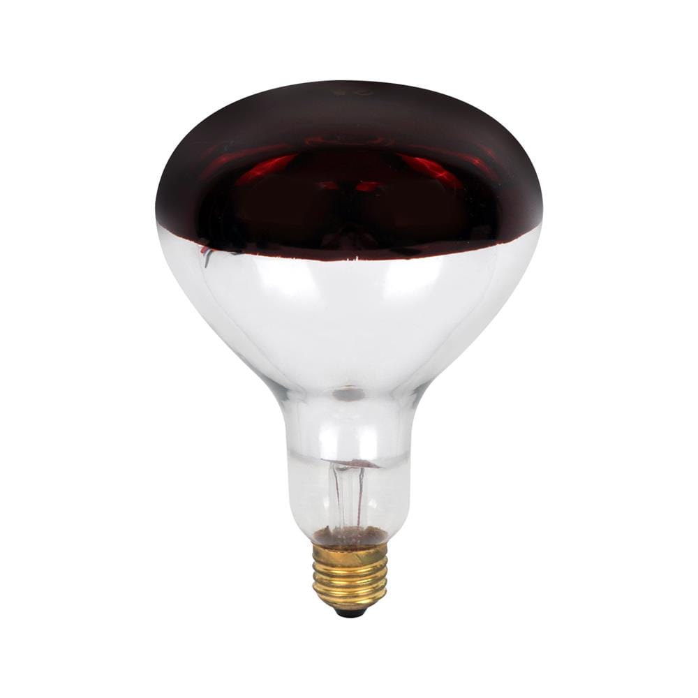 หลอด INFRARED CARINI R125RRH 250 วัตต์ RED E27