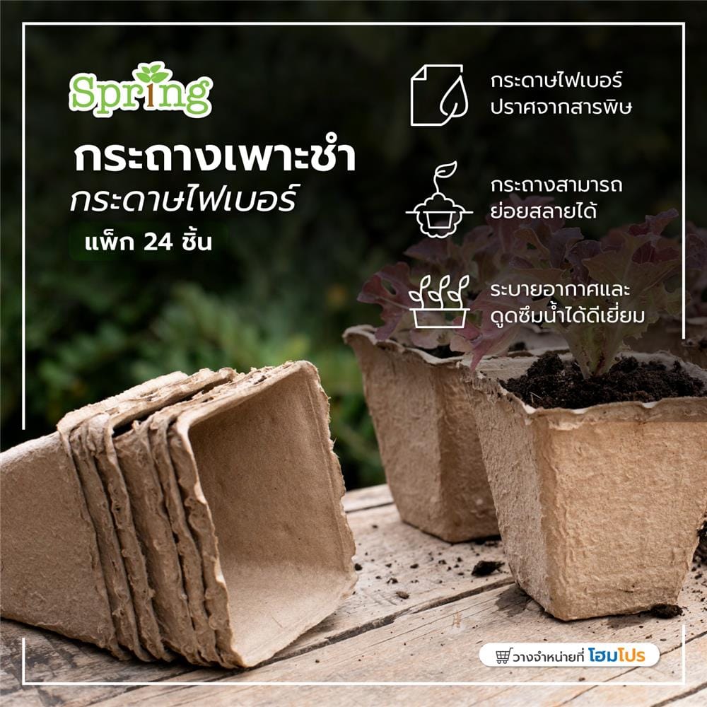 กระถางเพาะชำกระดาษไฟเบอร์ SPRING สีน้ำตาล แพ็ก 24 ชิ้น