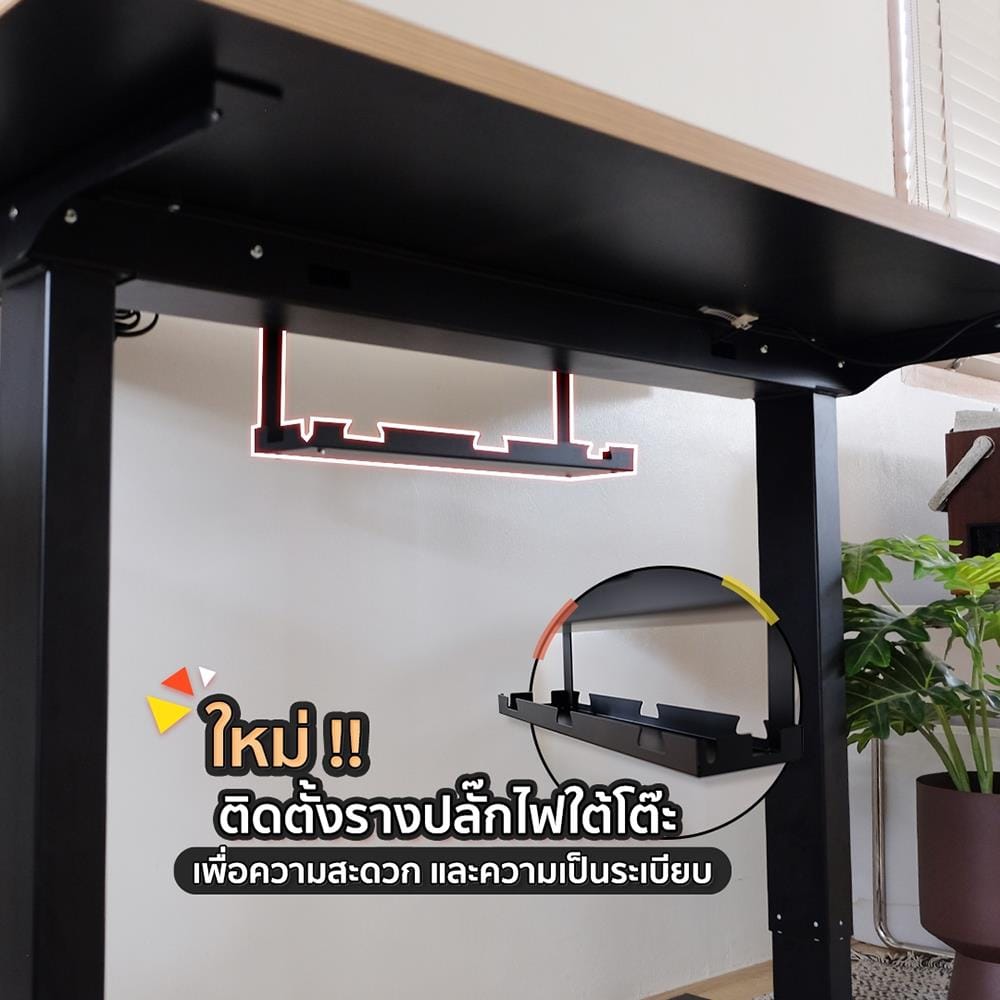 โต๊ะปรับระดับไฟฟ้า DESKSPACE DESK4 120 ซม. สีโอ๊ค/ขาว