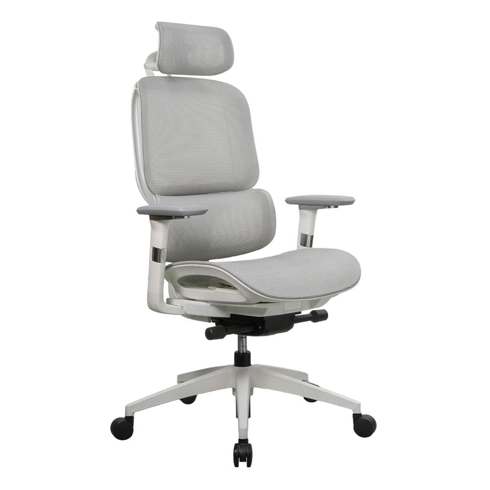 เก้าอี้สุขภาพ WORKSCAPE STELLA WCH-00050 สีเทา
