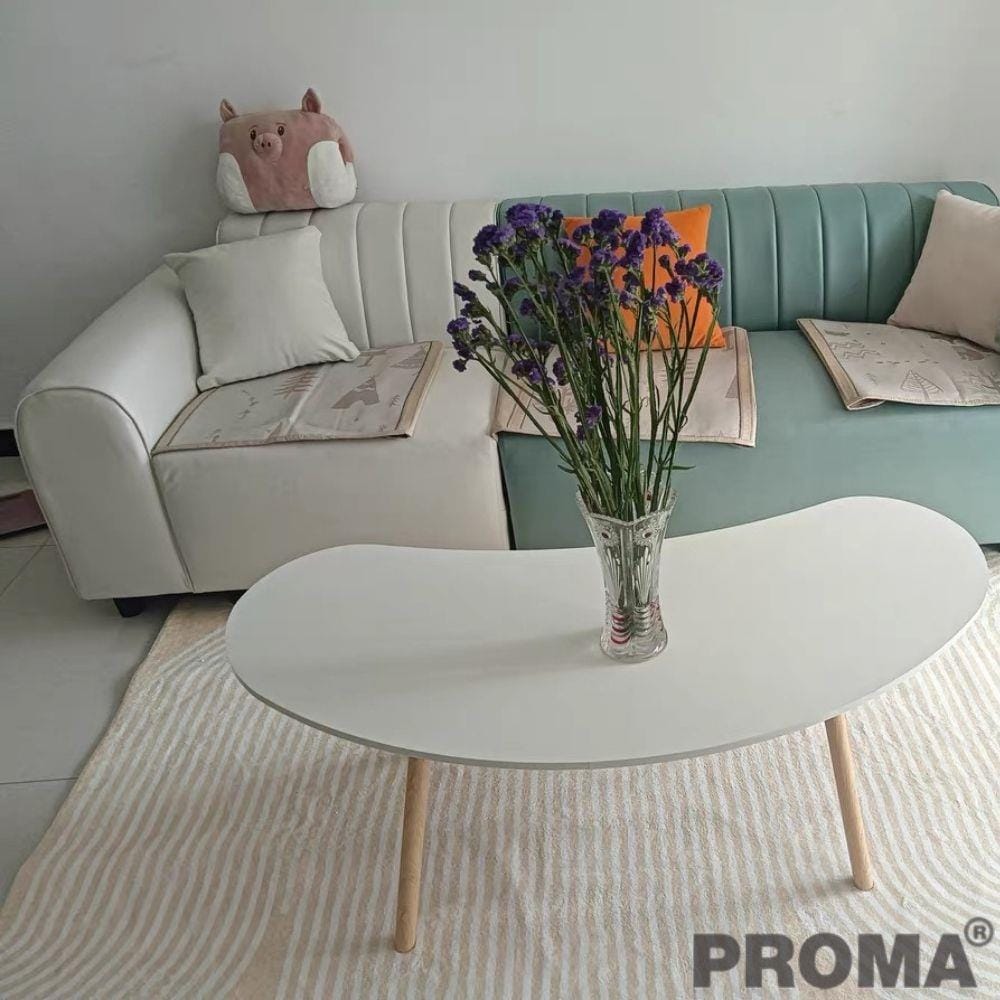 โต๊ะกลาง PROMA-CTB-63-01 76 ซม. สีขาว_1