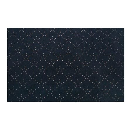 พรมเช็ดเท้าดักฝุ่น PRAW DE LUCKY BLACK 120X180 ซม. สีดำ